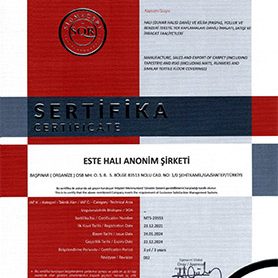 iso10002